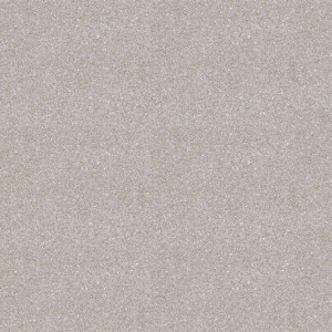 Линолеум MASTER PROXI 2 3,0 м (111)(КМ2)