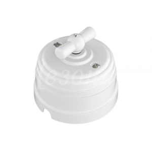 Выключатель пластиковый поворотный на четыре положения (2-х клавишный), цвет - белый, УСАДЬБА