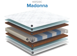 Снимок madonna