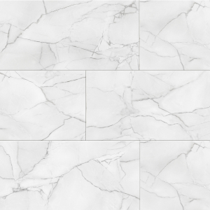 47660029