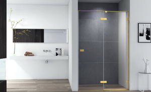 Душевая дверь BELLAGIO-B-12-100-C-BORO(_1_)