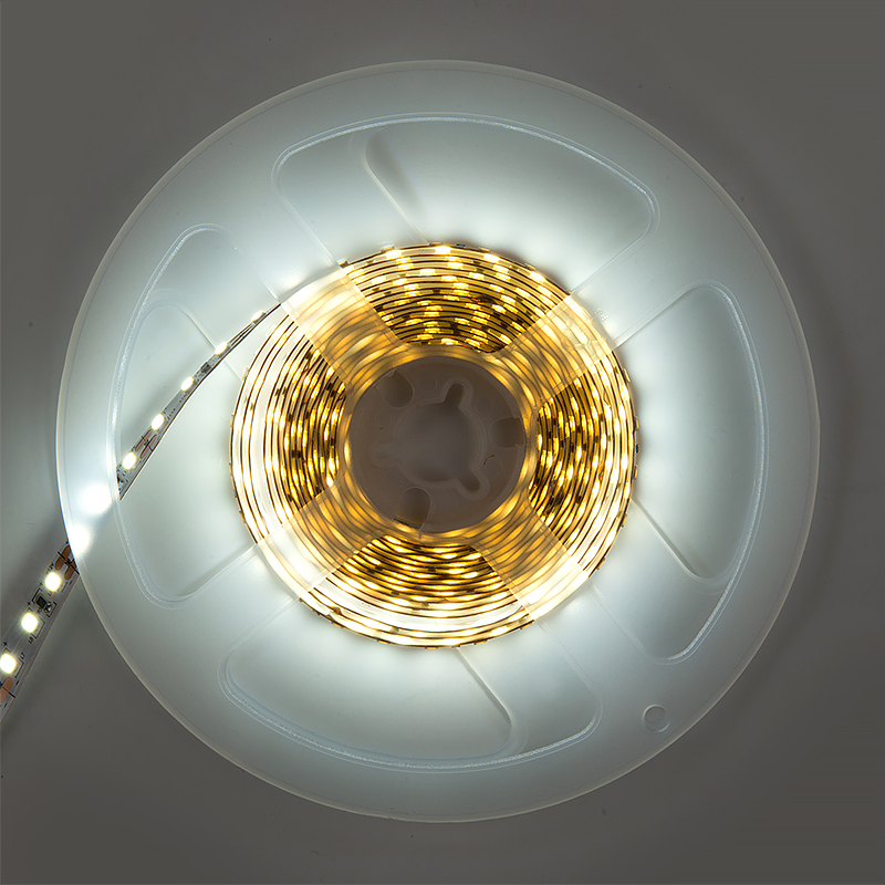 45739a55bb30a2f1bb70390403614556