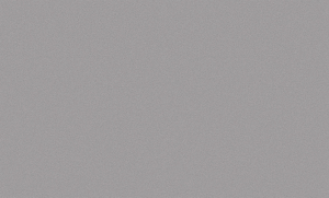 Обои 8740-16 (6) WallSecret Comfort ГТ на флиз.осн 1,06*10,05