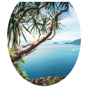 Сиденье для унитаза мягкое (Тайланд) "Сантис" Россия