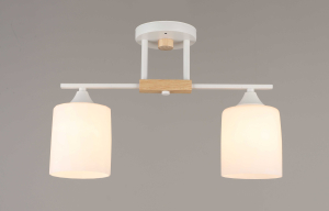 Люстра 4602/2 WT (4) (RL)