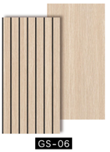 gs-06