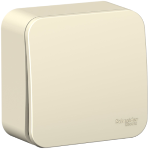 Молочный выключатель ОУ 1-кл. изолирующей пластиной BLANCA  (15)