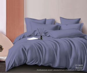 Набор: 2 наволочки сатин гл/кр диз. № 17-3925 (Виолет) (70х70)