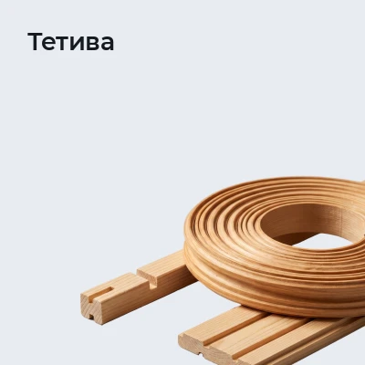 Тетива