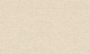 Обои 10558-03 Raspberry сет 2 Кофе-уни 10м*1,06м