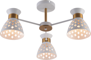 12005-3 вх+брасс