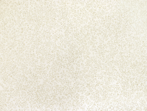 26411