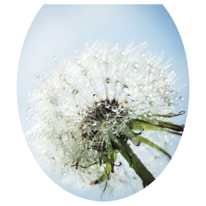 Сиденье для унитаза мягкое (одуванчик) "Сантис" Россия