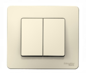Выключатель Молочный Скрытой установки 2-х клав BLANCA Schneider (10)