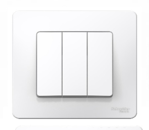 Выключатель Белый Скрытой установки 3-х клав BLANCA Schneider (10)