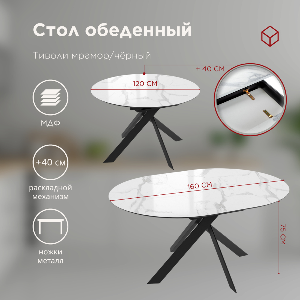 стол + 4 стула (4)