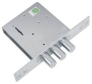 Замок врезной "Гардиан 30.01" 4кл. III класс (20)