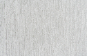 Обои Е54210 под покраску 1,06*10 Elysium (6)