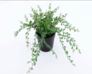 Растение искусственное в кашпо h=26см арт.10922-5719 Код269924