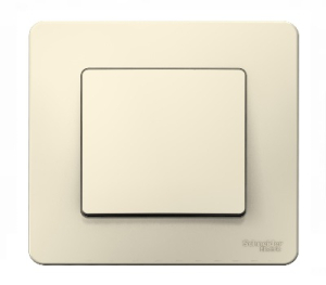 Выключатель Молочный Скрытой установки 1 клав BLANCA Schneider (10)