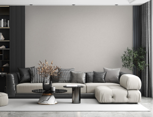 9080-13i