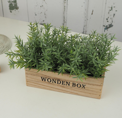 Искусственное растение "Софиас" в кашпо 20*7*17 см