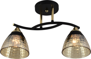 Светильник потолочный AU11231/2 BK+FGD E27 2*60W Черный+золото