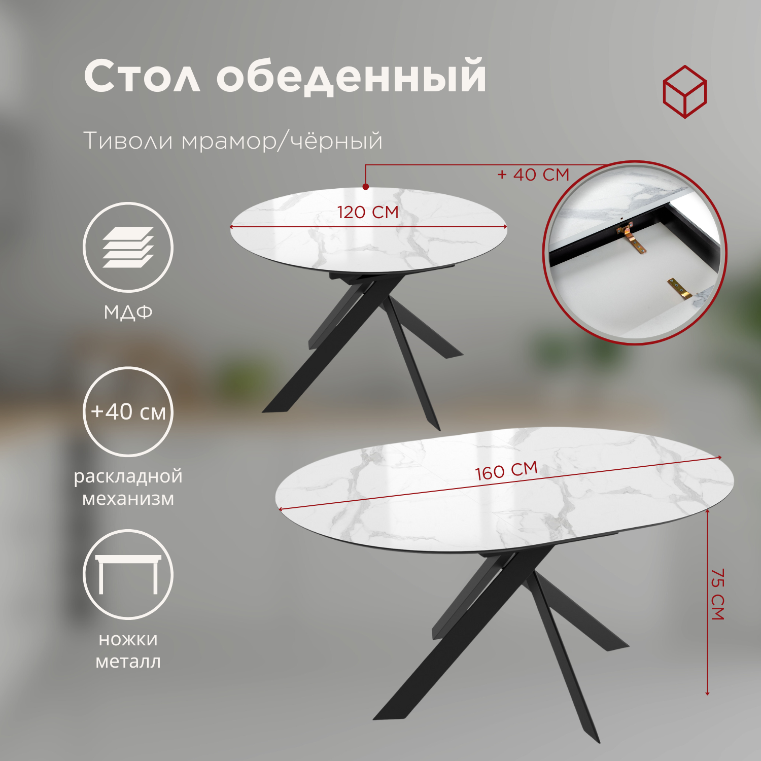 стол + 4 стула (4)