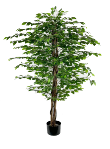 Безымянный