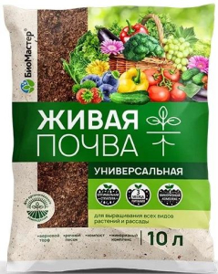 Снимок