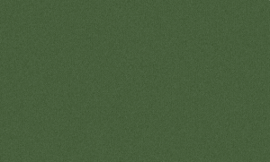 654776
