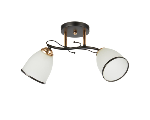 20138-2бк+фгд вт+бк