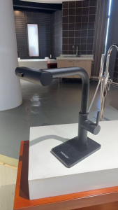 Image_2025-10-10_105510_420