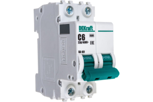 Автоматический выключатель 2Р 63А х-ка C ВА-101 4,5кА Dekraft (6)