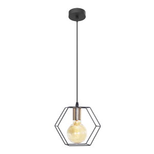 Светильник подвесной 10221/1BK+FG BK 