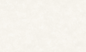 Обои 70625-12 Токио ВВ ГТ ФО Аспект