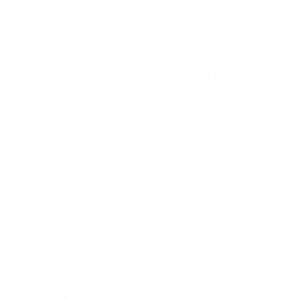 Паста пигментная KX белый 1 л (6)