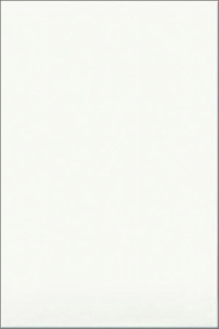 Плитка наст.Белая премиум Белый 200*300 (1,44м2=24 шт) пл.92,16м2