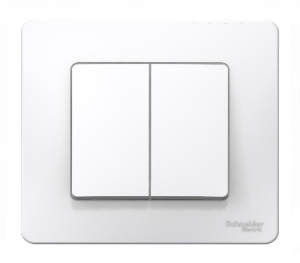 Выключатель Белый Скрытой установки 2-х клав BLANCA Schneider (10)