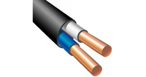 Кабель медный ВВГнг-LS П 2х4 ГОСТ (100)