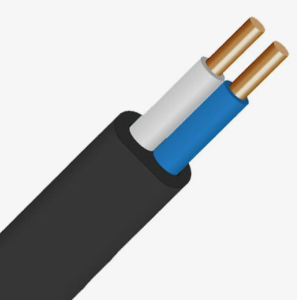 Кабель медный ВВГ-нг-LS П 2*6 ГОСТ (100)