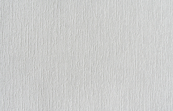 Обои Е54210 под покраску 1,06*10 Elysium (6)